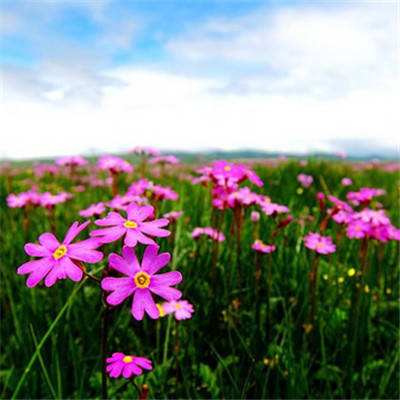 云博体育平台官网下载截图